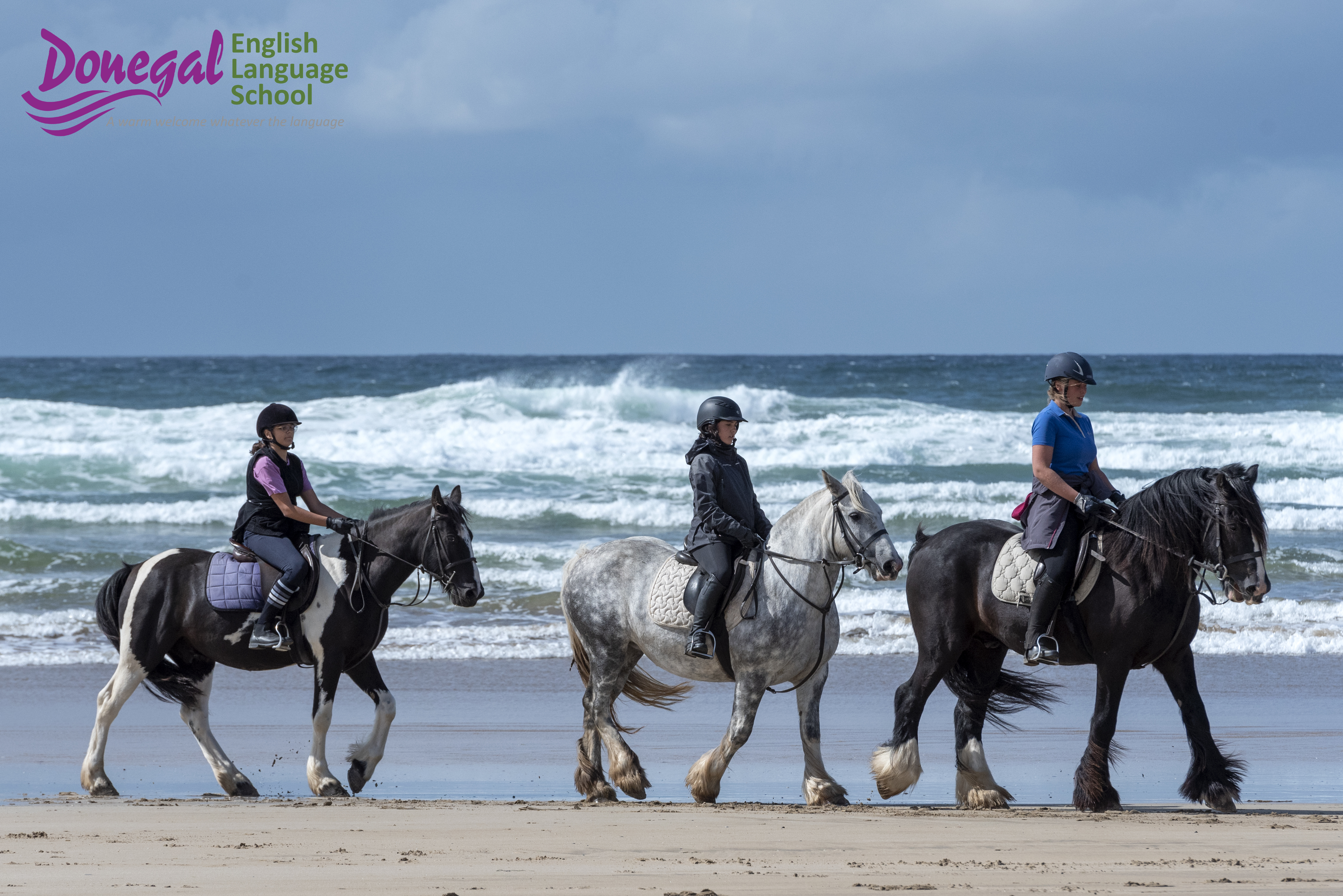 Équitation en Irlande