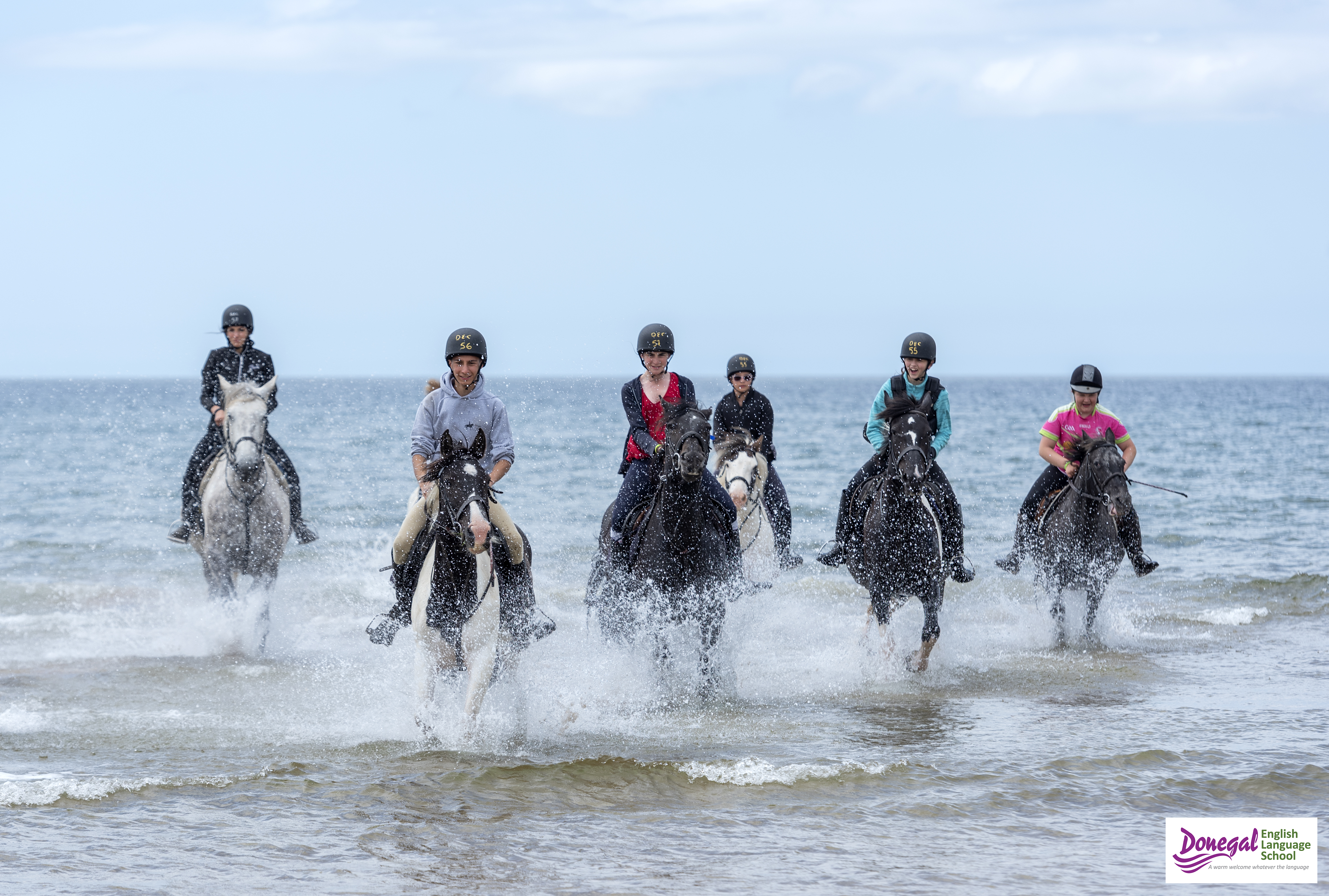Équitation en Irlande