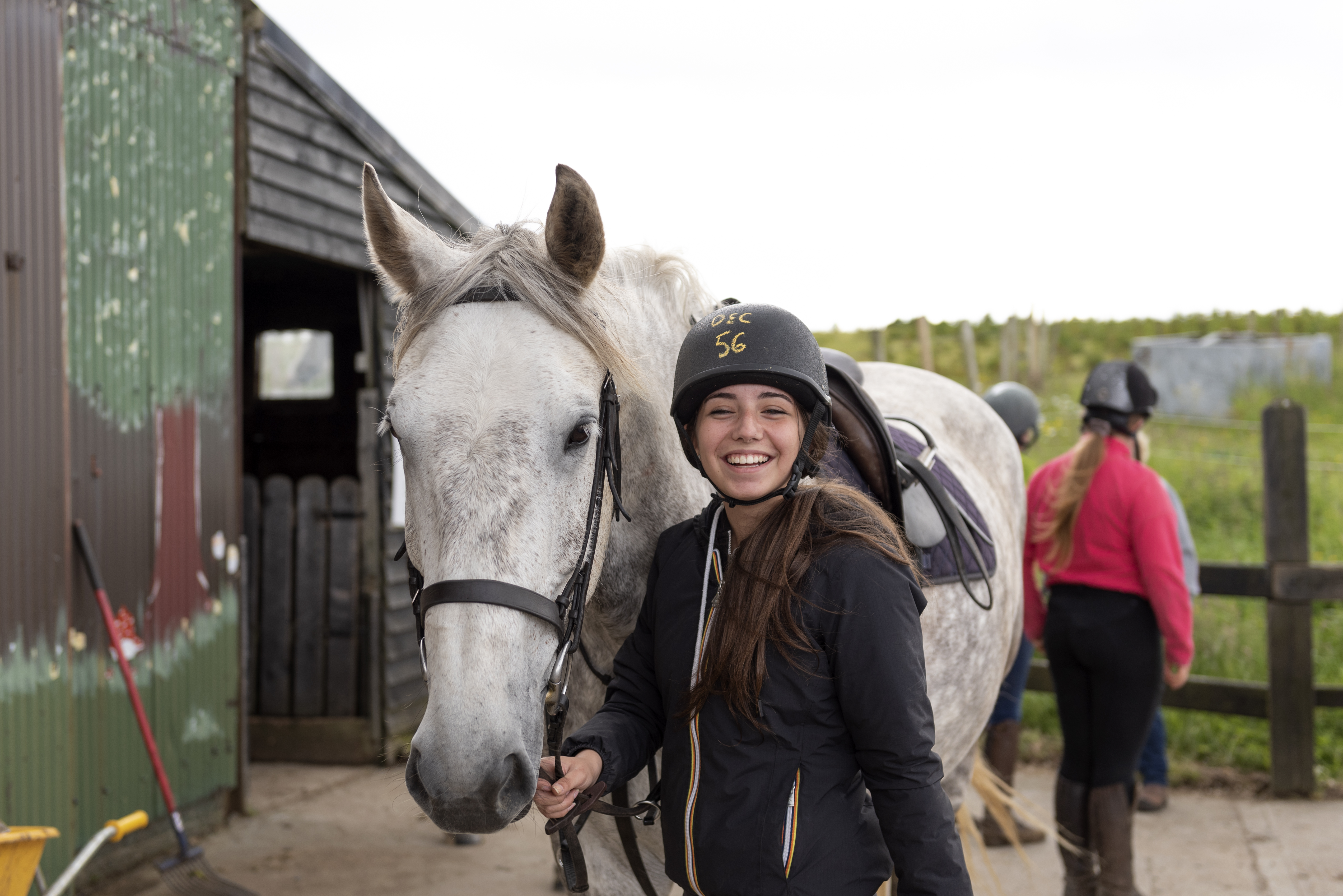 Équitation en Irlande