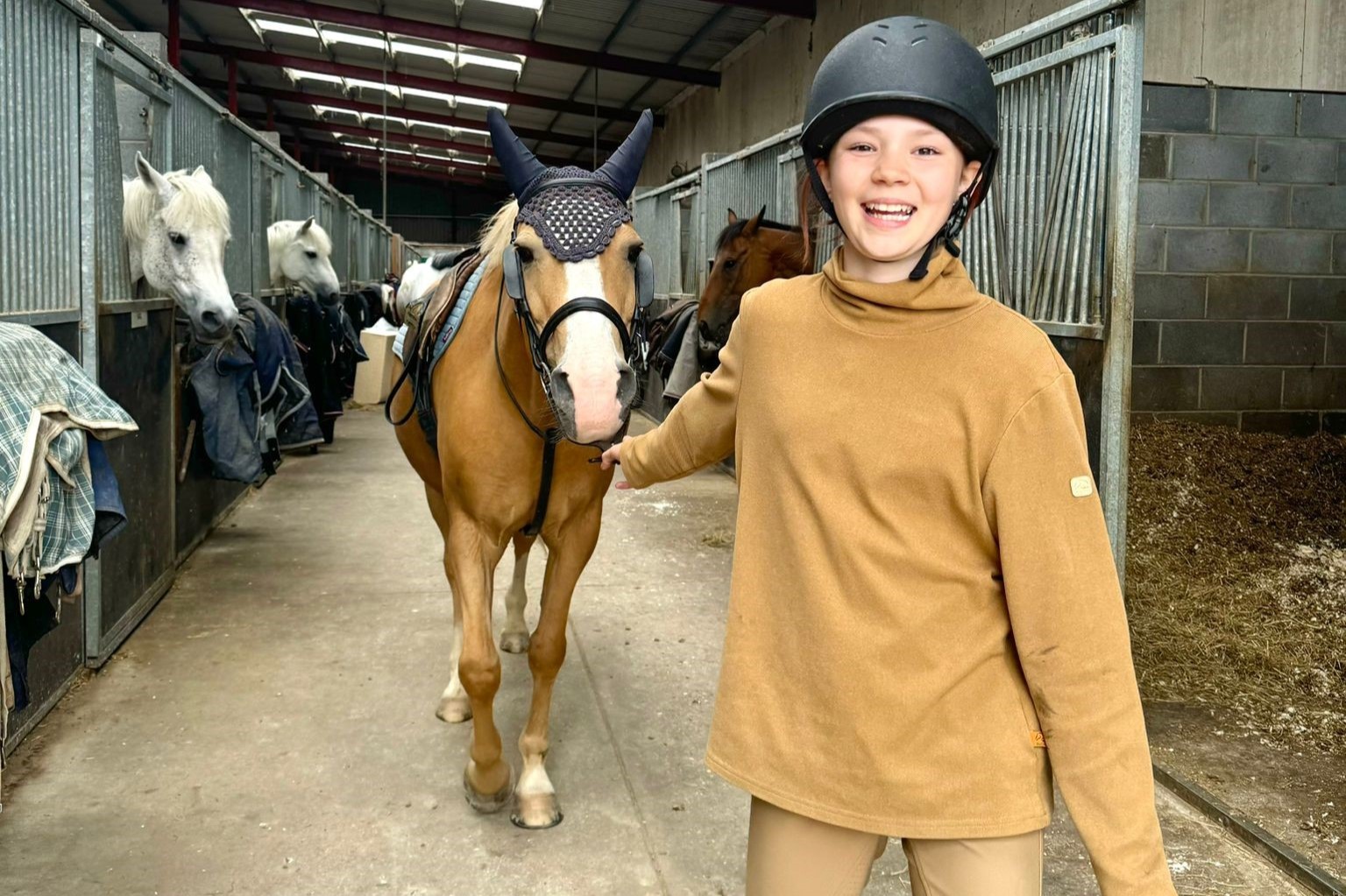 Équitation en Irlande